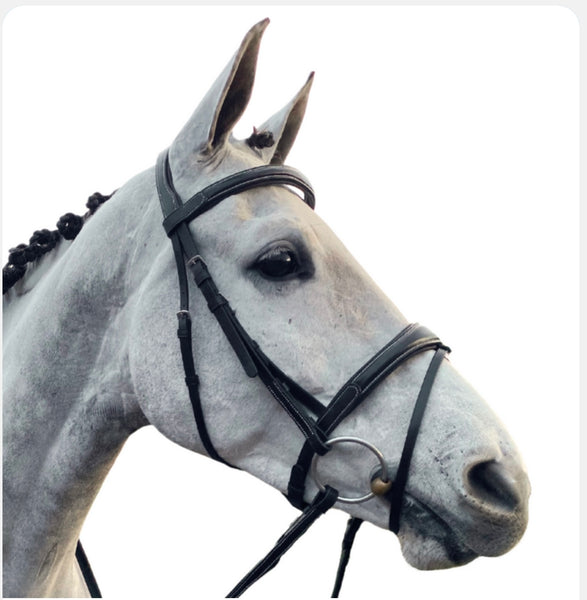 Cavaletti Comfort Bridle