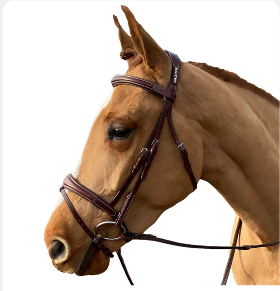 Cavaletti Comfort Bridle