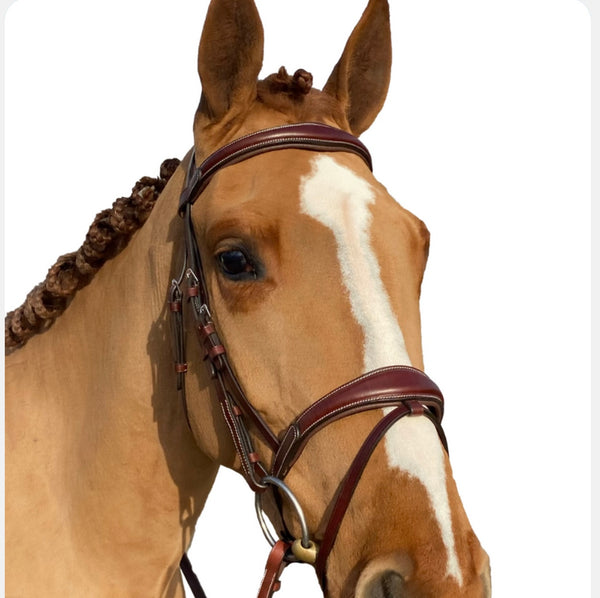 Cavaletti Comfort Bridle