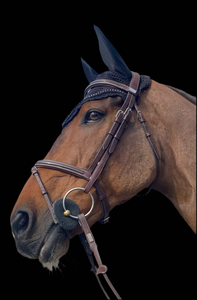 Equipe Patent Flash Bridle BR36