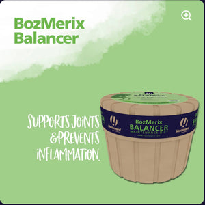 Hestevard BozMerix Balancer Maintenance Diet 10kg (Signature Range)