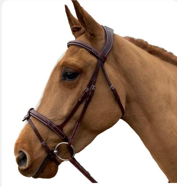 Cavaletti Soft Bridle