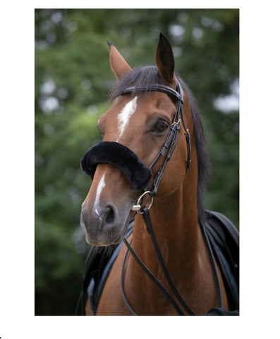 Equitheme Teddy Noseband Sleeve