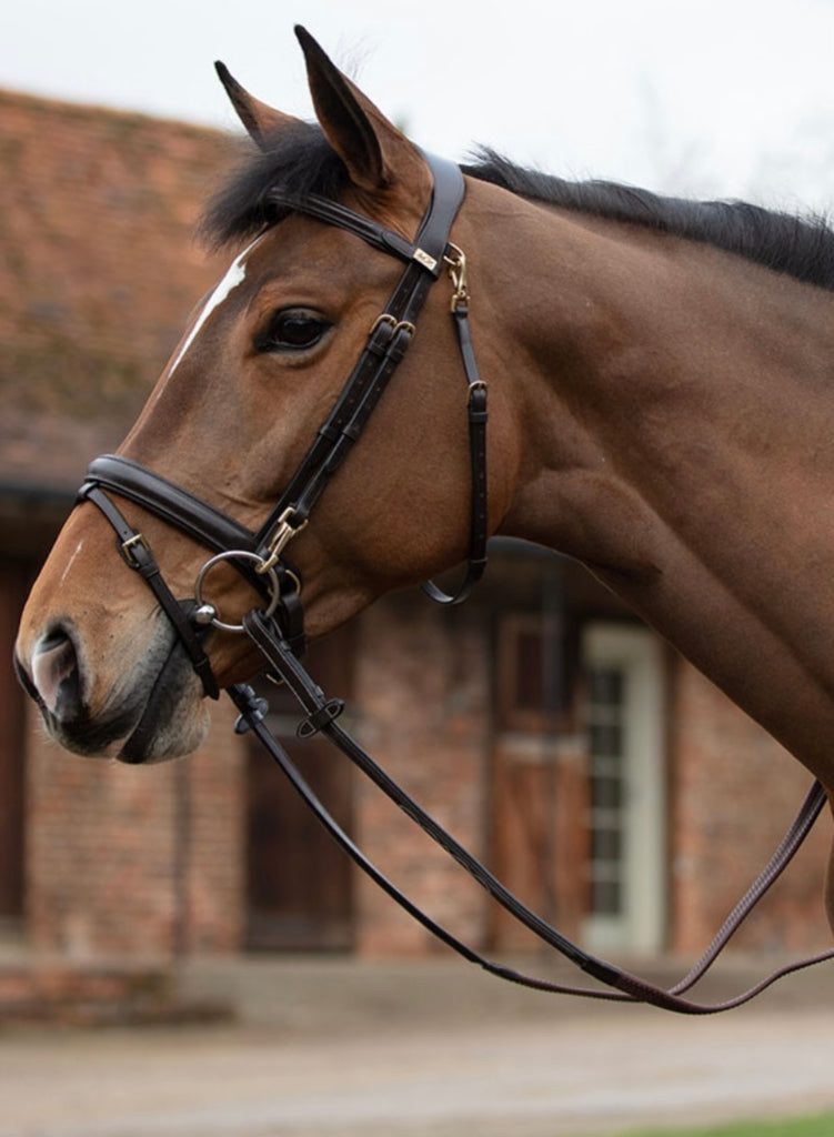 Stephens Training Bridle With Clips 