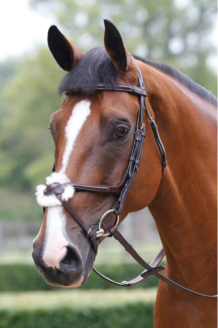 Mark Todd Performance Figure of 8 Bridle – CC Equestrian