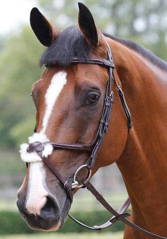 Mark Todd Performance Figure of 8 Bridle