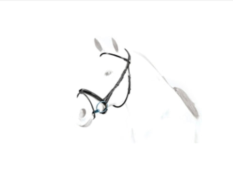 Equipe Patent Flash Bridle BR36