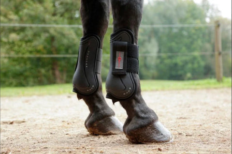 Covalliero Tendon Boots