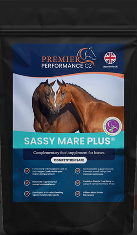 Premier Performance Sassy Mare