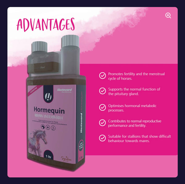 Hestevard Hormequin - Hormone Support